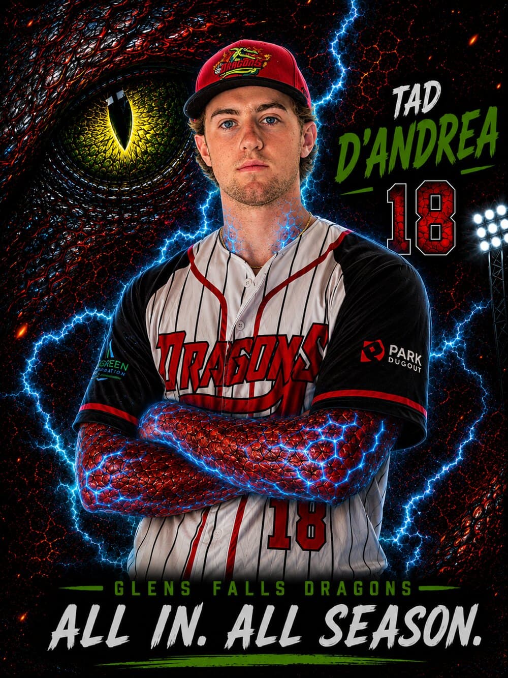 Tad D'Andrea — Glens Falls Dragons player card
